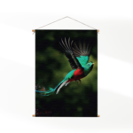 Textielposter Schitterende Vliegende Quetzal Vogel