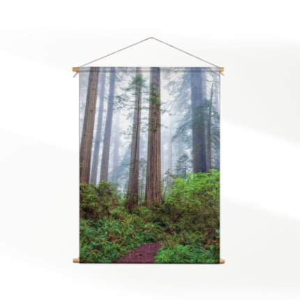 Textielposter Sequoia bos