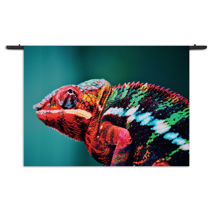 Wandkleed Kameleon Kleurrijk Rechthoek Horizontaal
