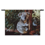 Wandkleed De Vastgelamde Koala Rechthoek Horizontaal