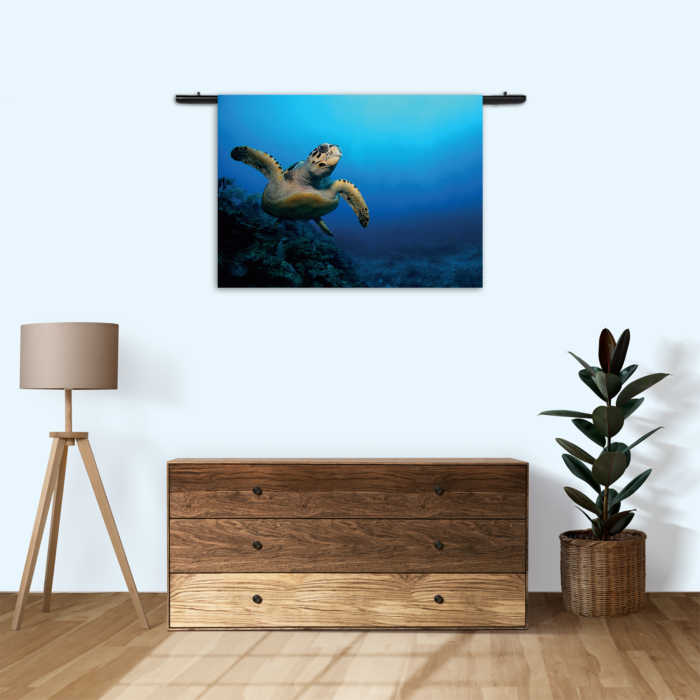 Wandkleed Zeeschildpad In Helderblauw Water 02 Rechthoek Horizontaal Template 50 70 Horizontaal Dieren 26 3