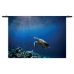 Wandkleed Zeeschildpad In Helderblauw Water 03 Rechthoek Horizontaal