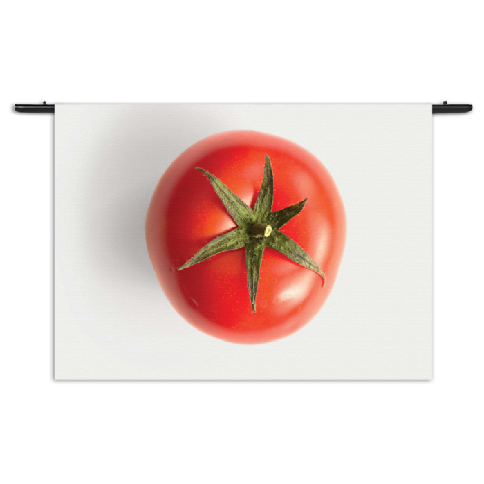 Wandkleed Tomato Rechthoek Horizontaal