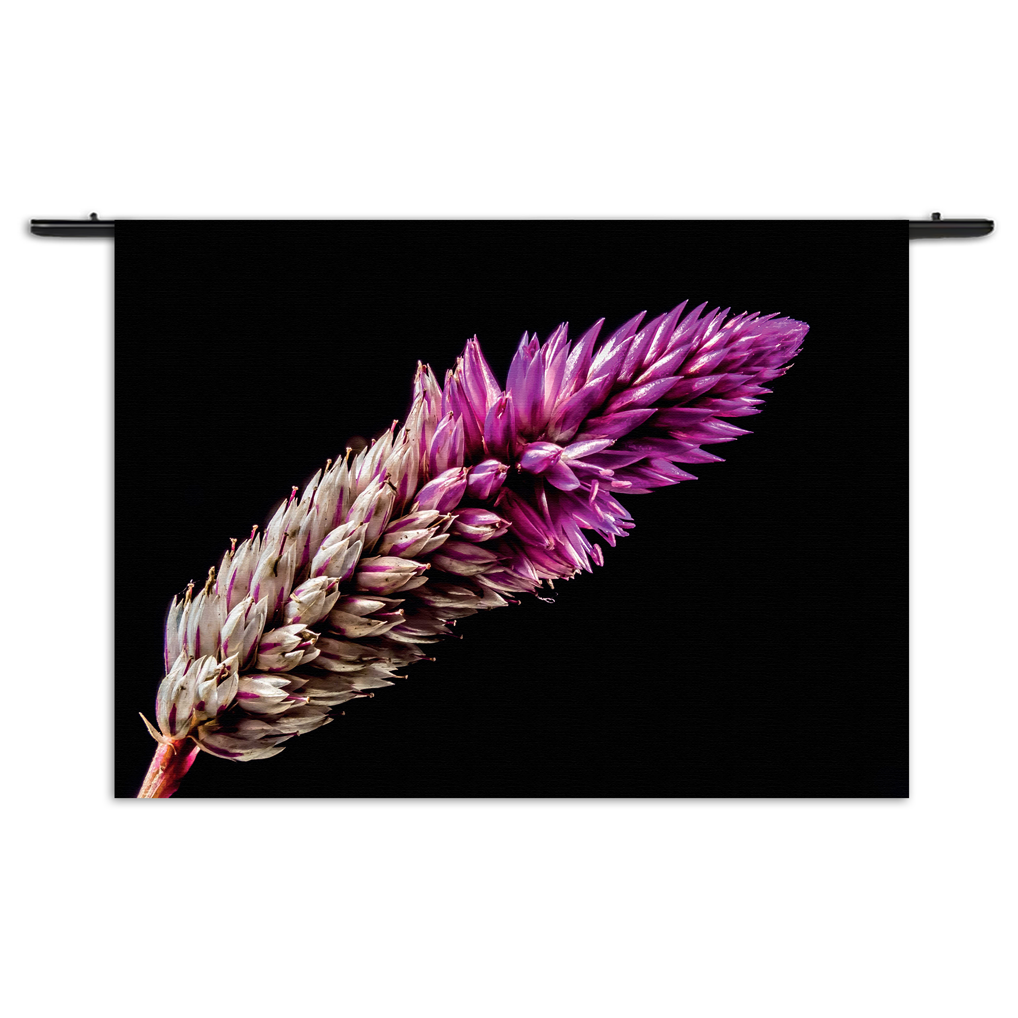 Wandkleed Heiden Bloem Rechthoek Horizontaal Template 50 70 Horizontaal Natuur 24 1 1