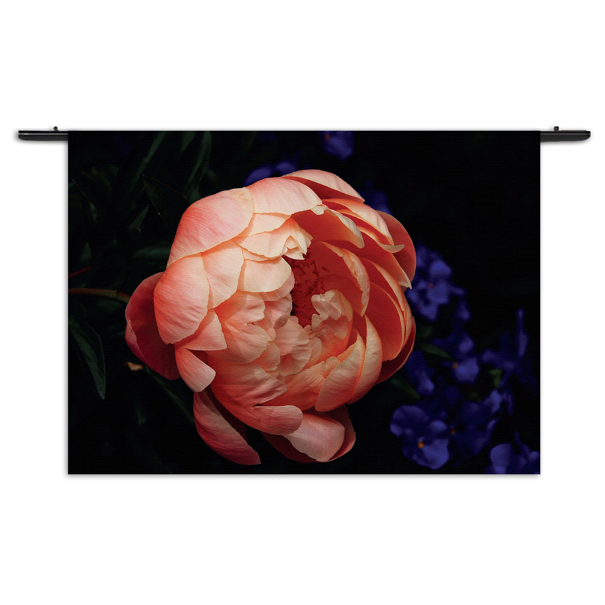 Wandkleed Pioenroos Rechthoek Horizontaal Template 50 70 Horizontaal Natuur 28 1 1