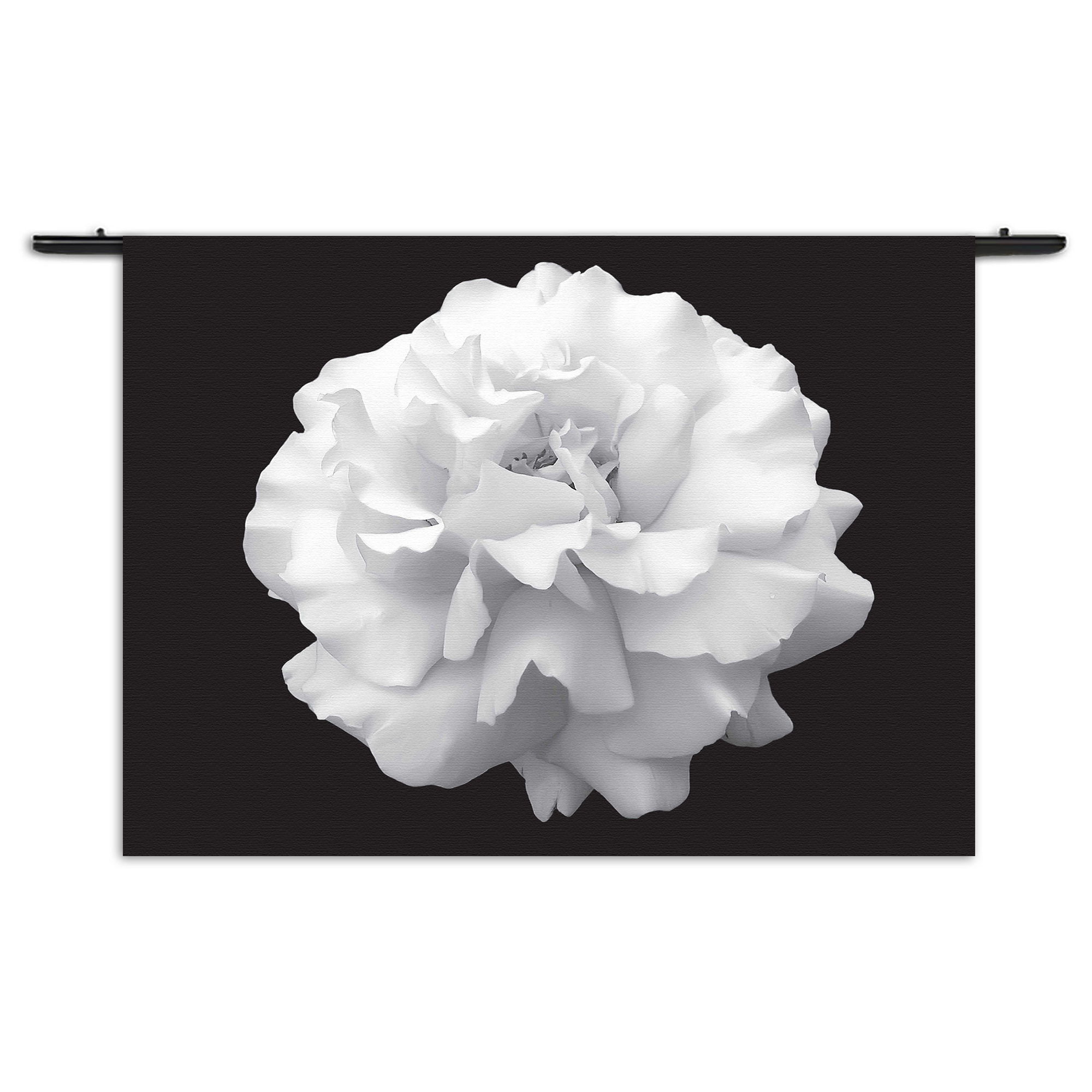 Wandkleed Witte Anjer Rechthoek Horizontaal Template 50 70 Horizontaal Natuur 38 1 1