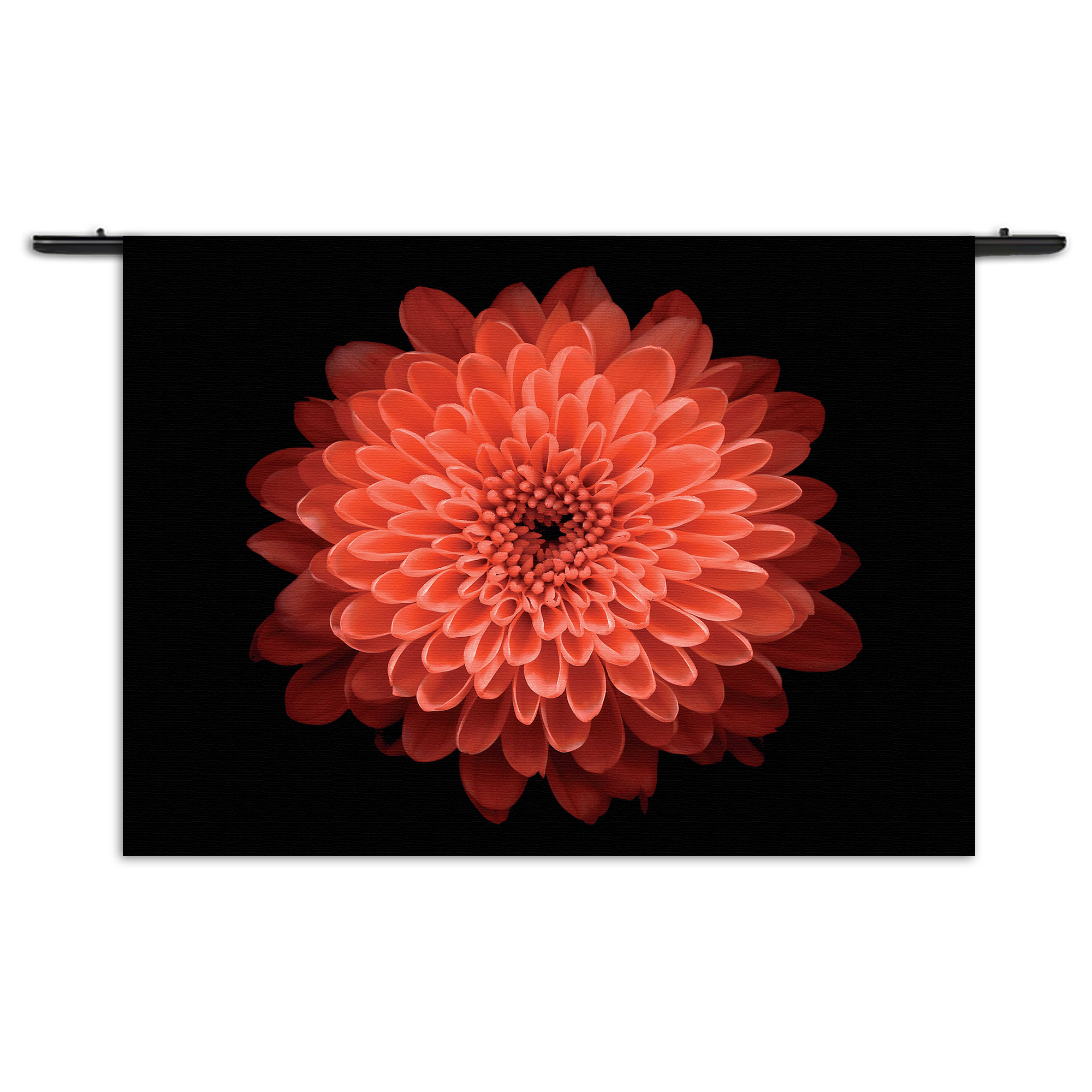 Wandkleed Oranje Dahlia Rechthoek Horizontaal Template 50 70 Horizontaal Natuur 53 1 1
