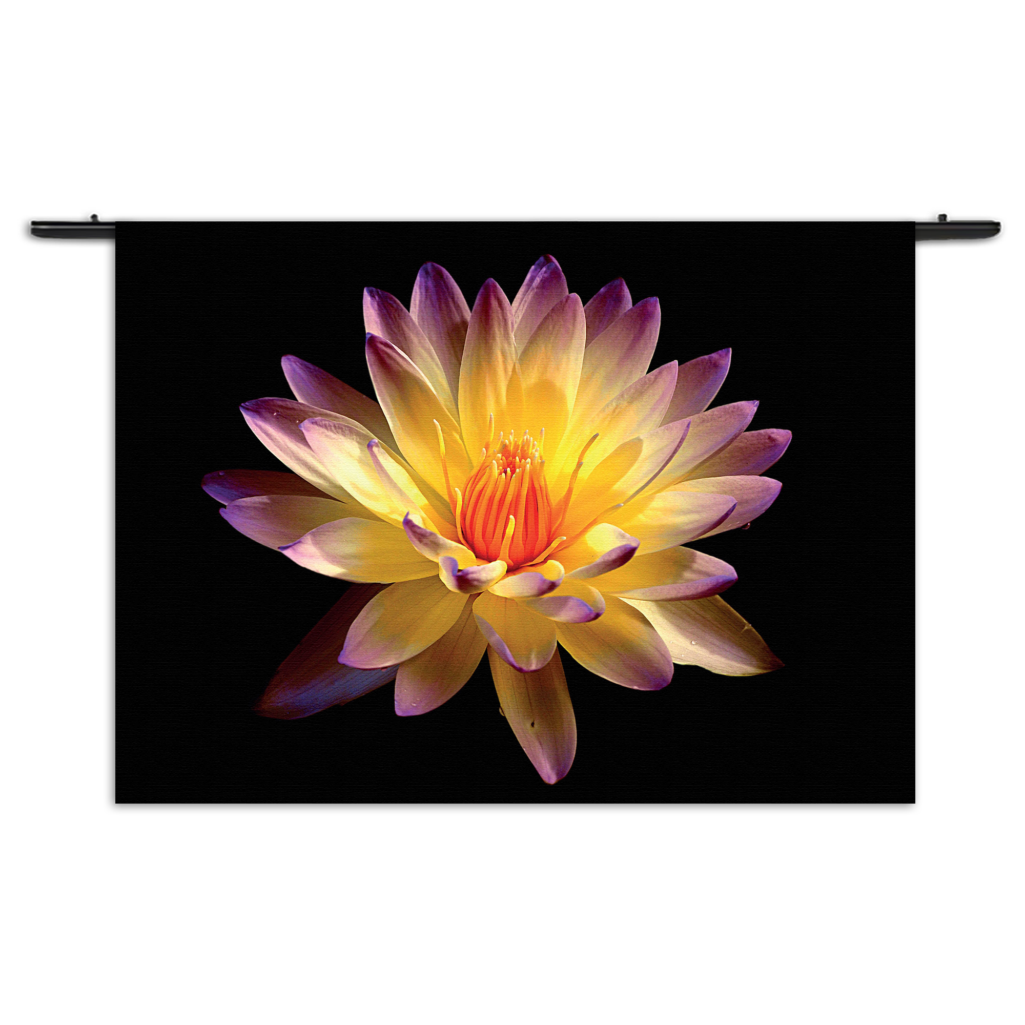 Template_50-70_Horizontaal_Natuur_60-1-1.png Wandkleed Paarse Gele Dahlia Rechthoek Horizontaal Template 50 70 Horizontaal Natuur 60 1 1
