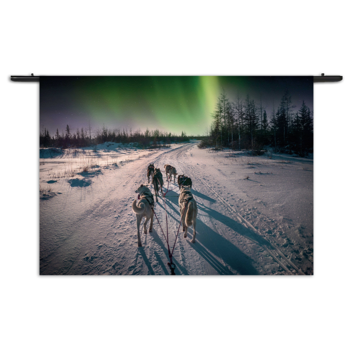 Wandkleed Huskies door Lapland Rechthoek Horizontaal Template 50 70 Horizontaal Natuur 66 1 1