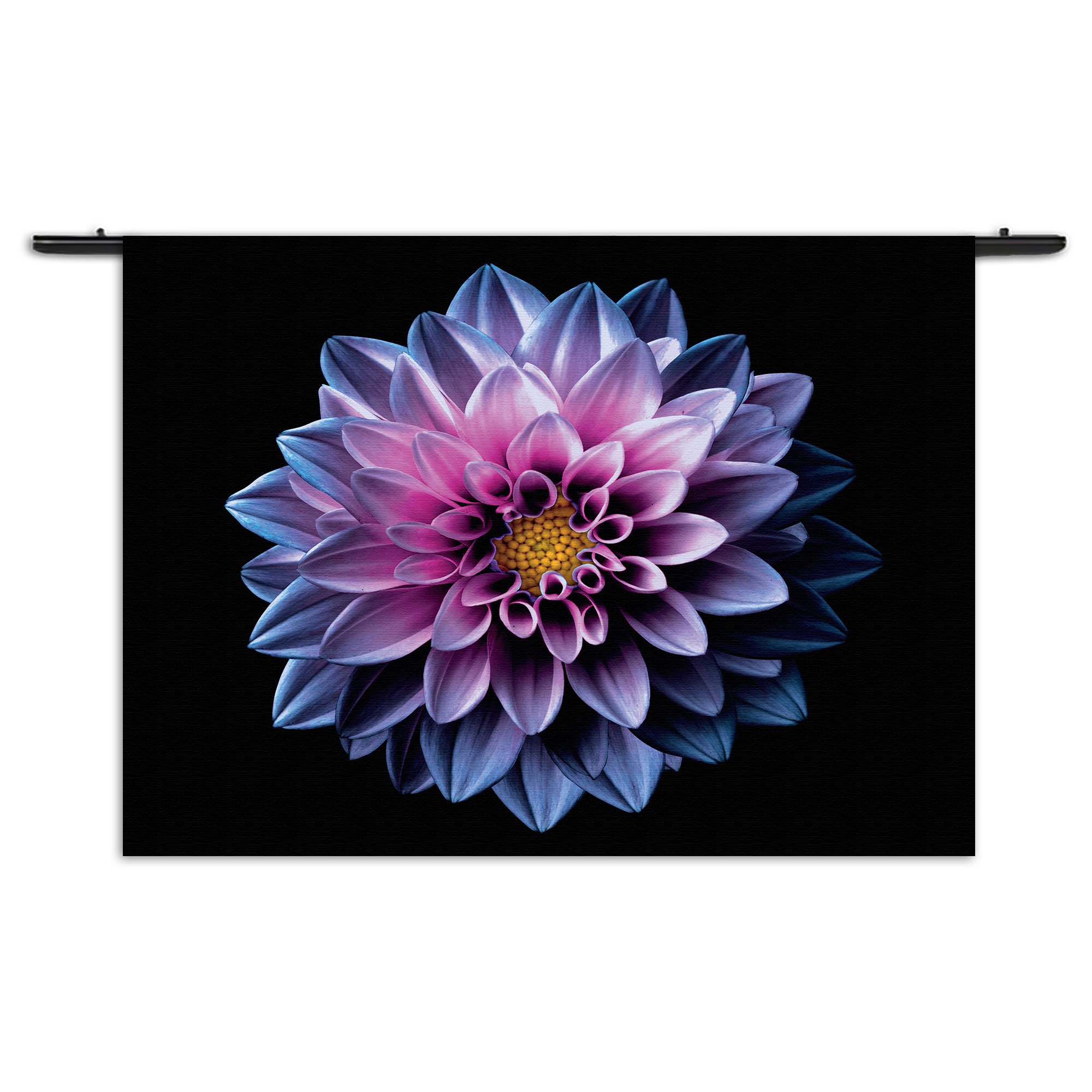 Wandkleed Paarse Dahlia Rechthoek Horizontaal Template 50 70 Horizontaal Natuur 67 1 1