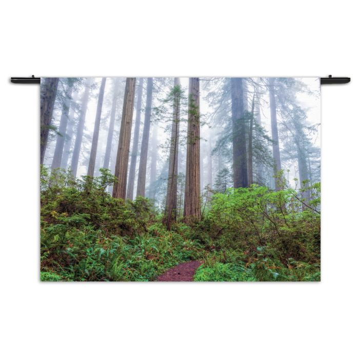 Wandkleed Sequoia bos Rechthoek Horizontaal Template 50 70 Horizontaal Natuur 88 1 1