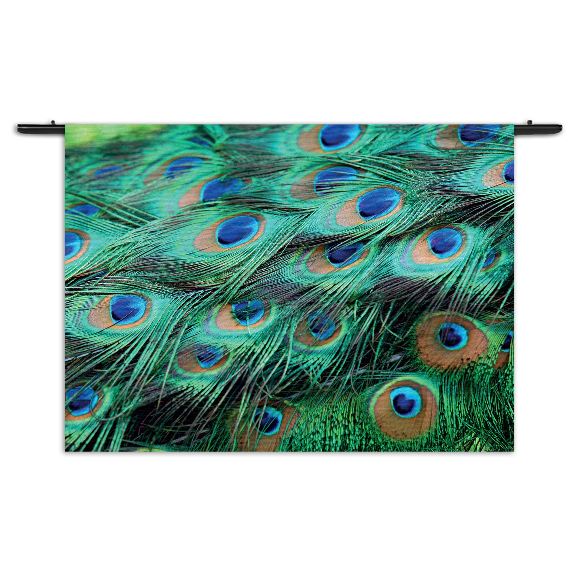 Wandkleed Veren van de Pauw Rechthoek Horizontaal Template 50 70 Horizontaal Natuur 89 1 1