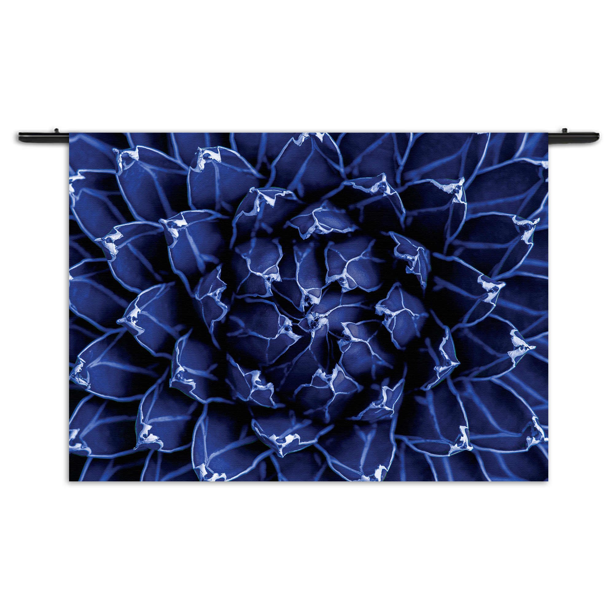 Wandkleed Kleurrijke bloem 2 Rechthoek Horizontaal Template 50 70 Horizontaal Natuur 93 1 1