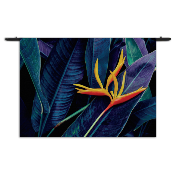 Wandkleed Heliconia bloem op donkere achtergrond Rechthoek Horizontaal Template 50 70 Horizontaal Natuur 95 1 1