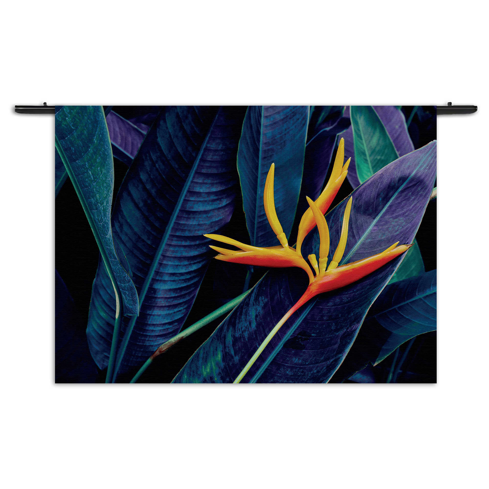 Wandkleed Heliconia bloem op donkere achtergrond Rechthoek Horizontaal Template 50 70 Horizontaal Natuur 95 1 1