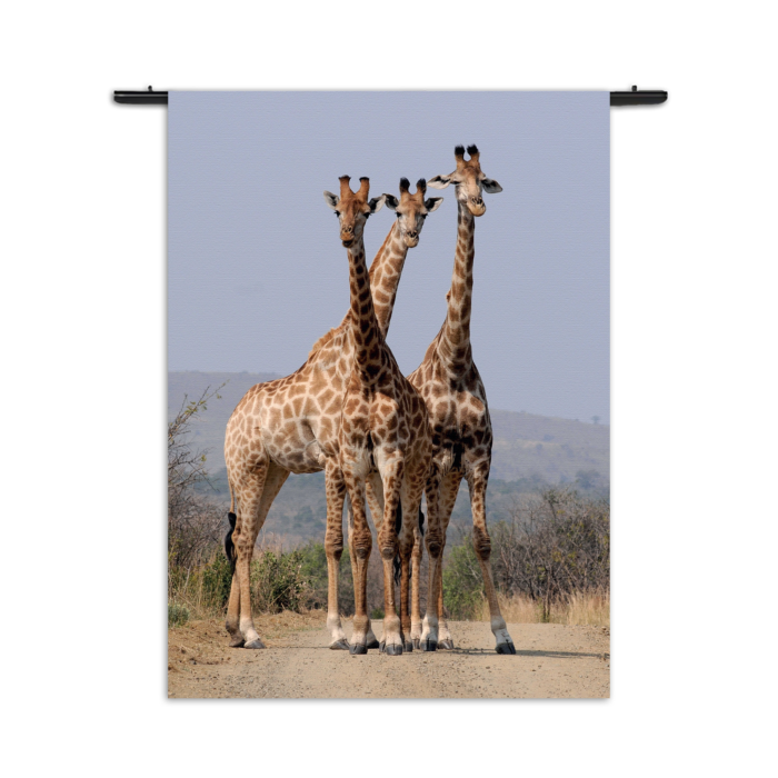 Wandkleed Drie Giraffen Rechthoek Verticaal