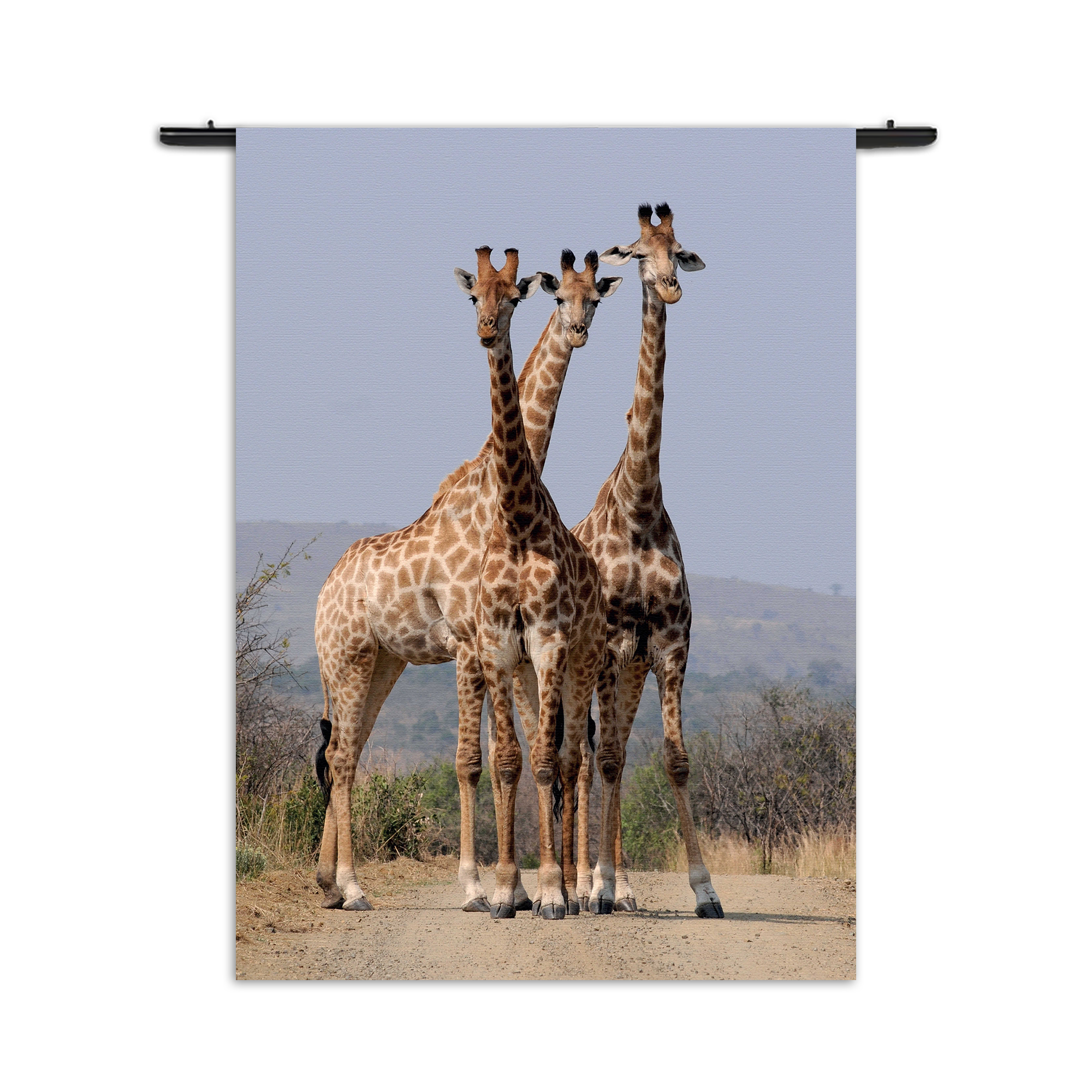 Wandkleed Drie Giraffen Rechthoek Verticaal