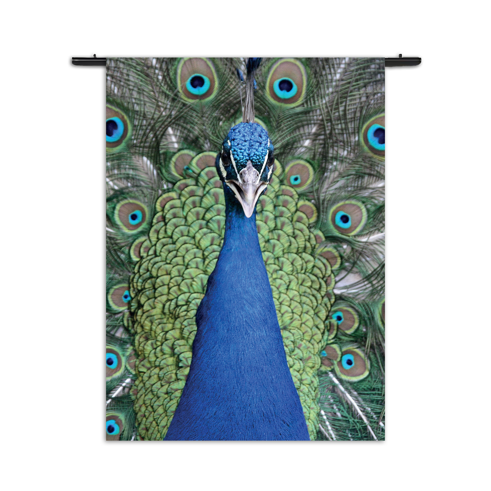 Wandkleed Blauwe Pauw Met Groene Verem Rechthoek Verticaal