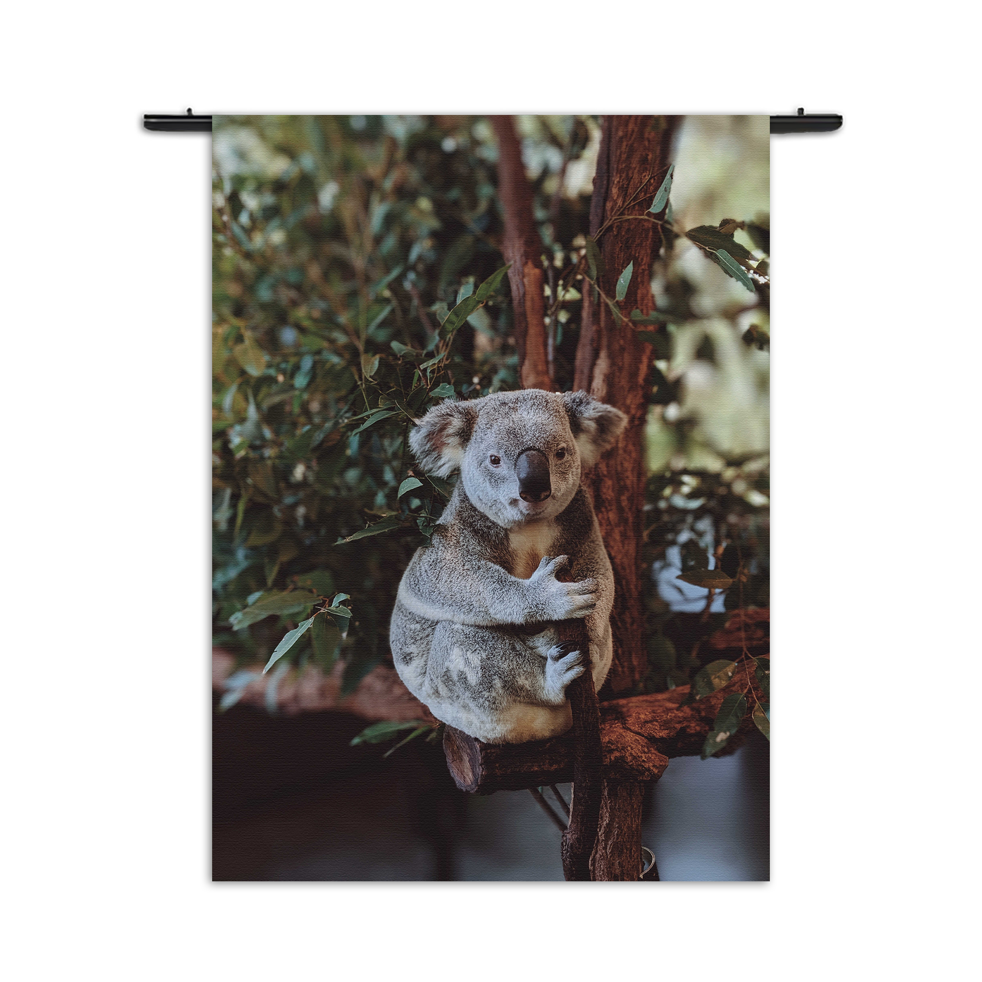 Wandkleed De Vastgelamde Koala Rechthoek Verticaal