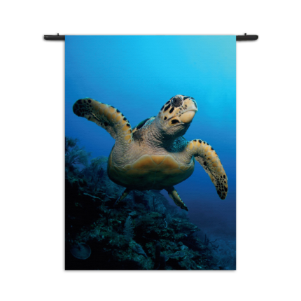 Wandkleed Zeeschildpad In Helderblauw Water 02 Rechthoek Verticaal