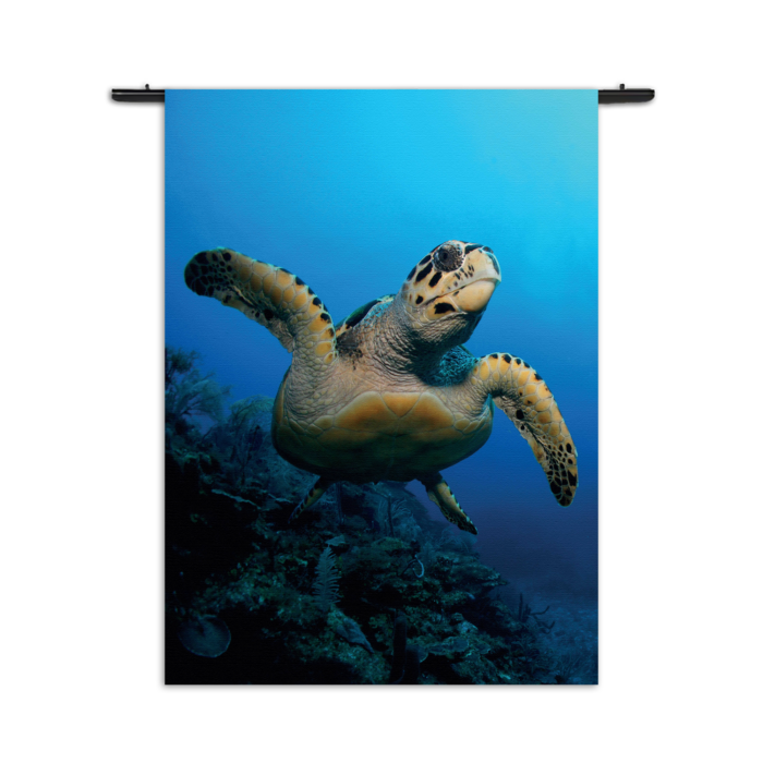 Wandkleed Zeeschildpad In Helderblauw Water 02 Rechthoek Verticaal