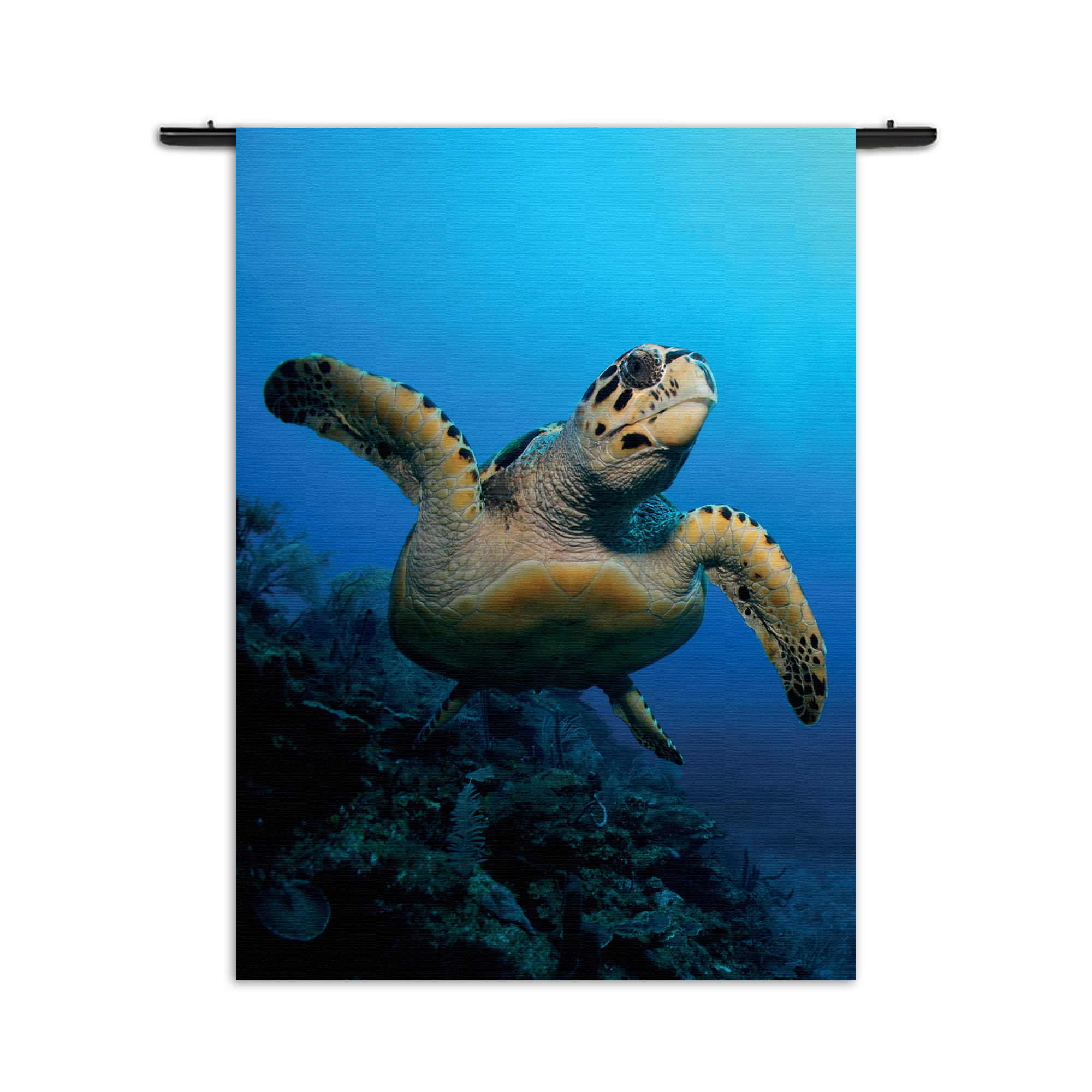 Wandkleed Zeeschildpad In Helderblauw Water 02 Rechthoek Verticaal