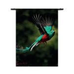 Wandkleed Schitterende Vliegende Quetzal Vogel Rechthoek Verticaal