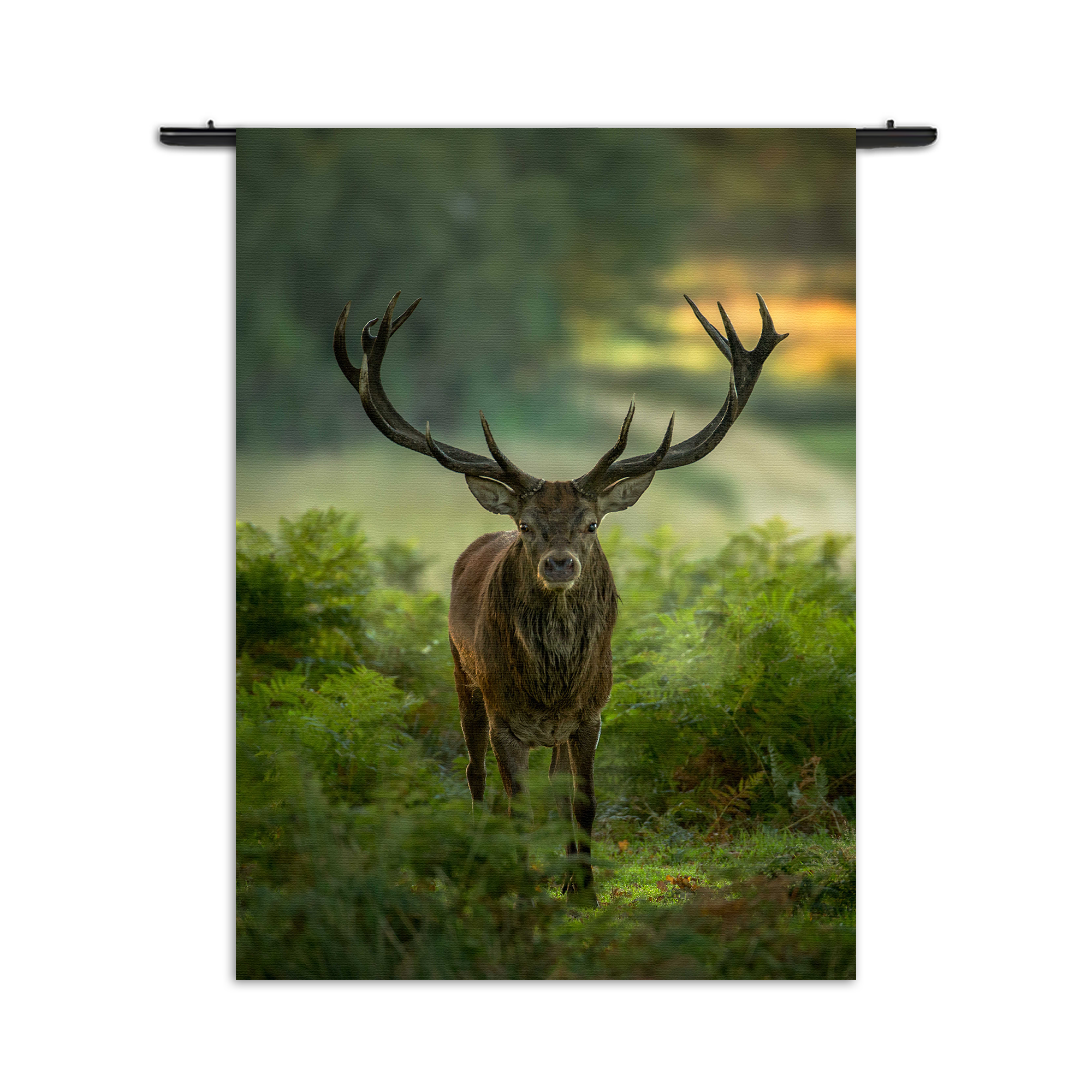 Wandkleed Edelhert In Het Bos Rechthoek Verticaal