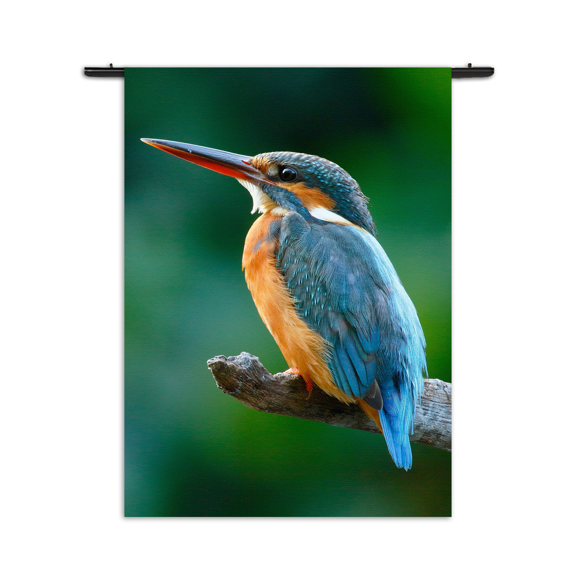 Wandkleed De Ijsvogel Rechthoek Verticaal