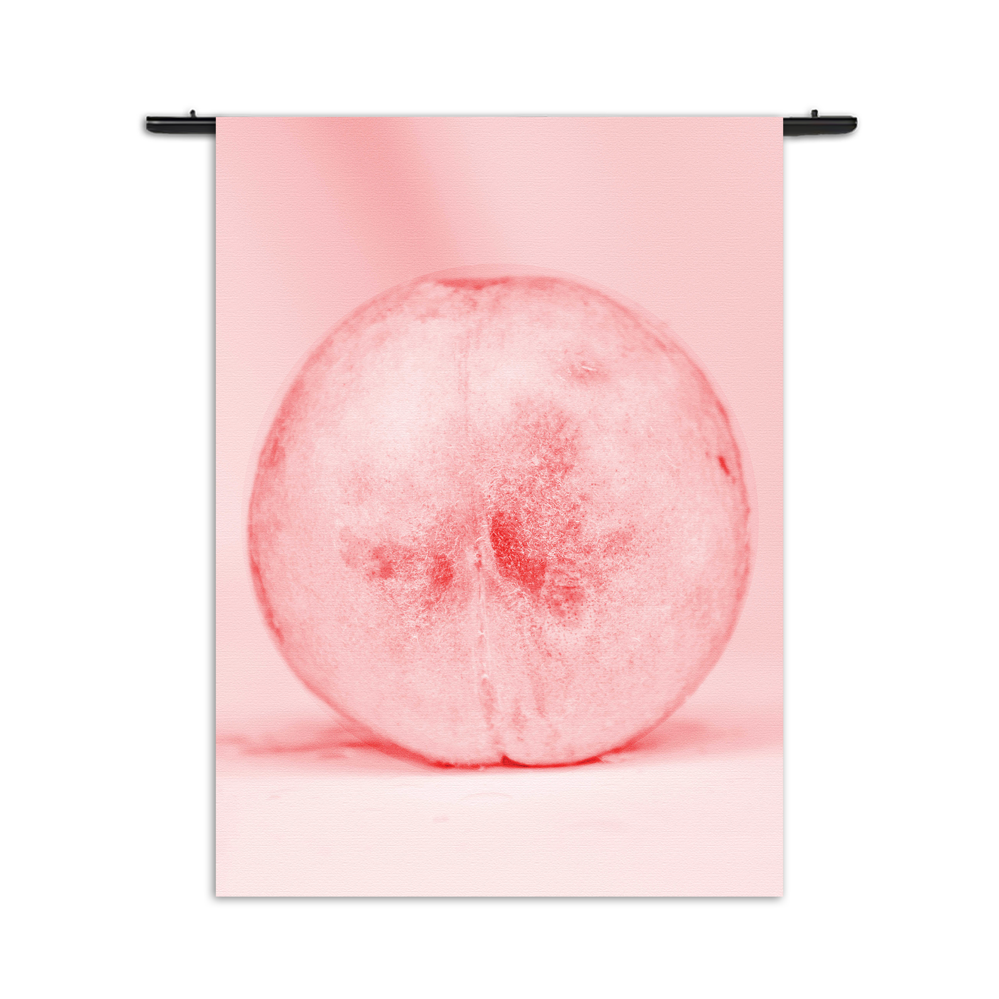 Wandkleed Radijsje Roze Rechthoek Verticaal