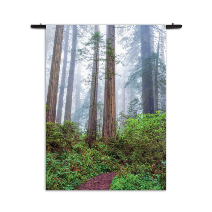 Wandkleed Sequoia bos Rechthoek Verticaal