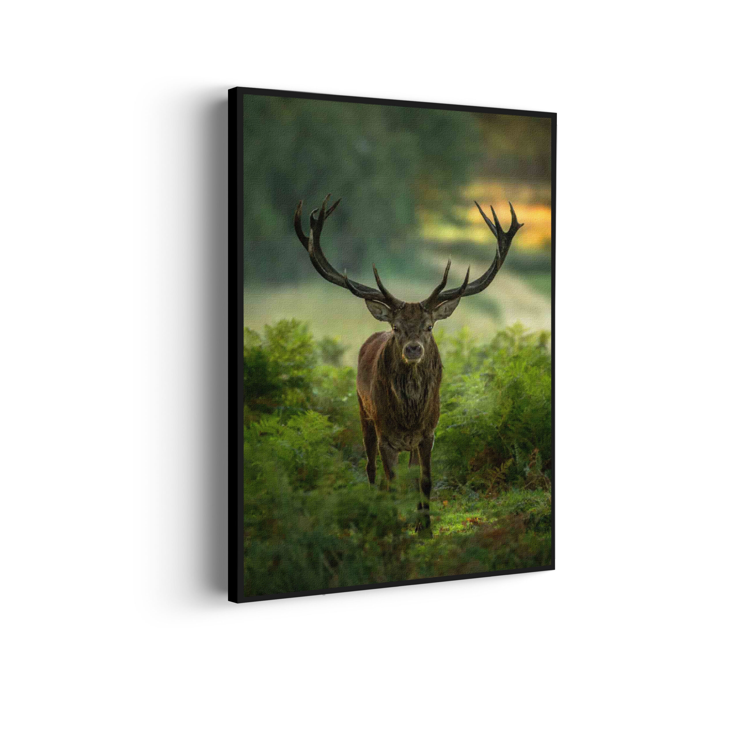 Akoestisch Schilderij Edelhert In Het Bos Rechthoek Verticaal Template 50 70 Verticaal dieren 45 scaled 1