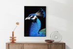 Akoestisch Schilderij Zeeschildpad In Helderblauw Water 02 Rechthoek Verticaal Template 50 70 Verticaal dieren 48 2 scaled 1
