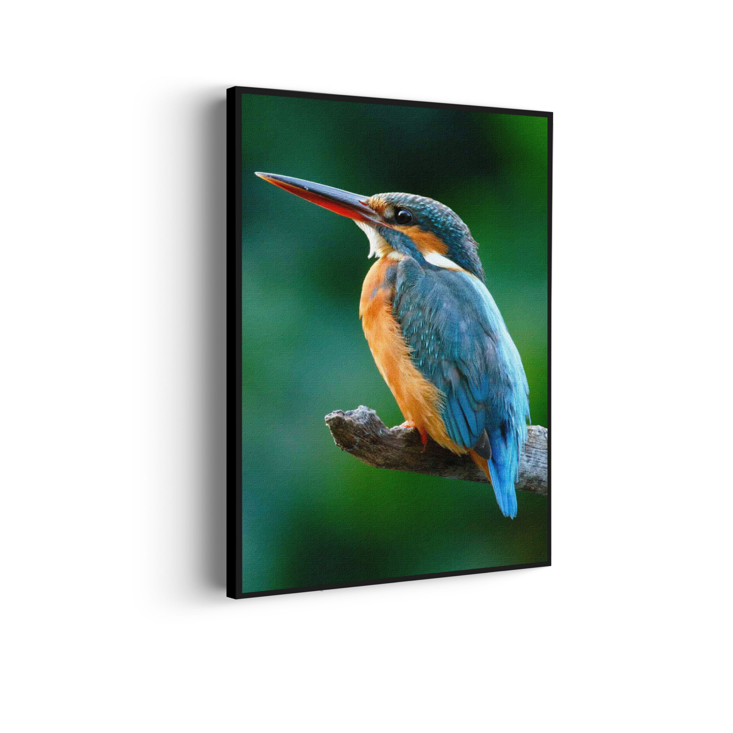 Template_50-70_Verticaal_dieren_51-scaled Akoestisch Schilderij De Ijsvogel Rechthoek Verticaal Template 50 70 Verticaal dieren 51 scaled 1