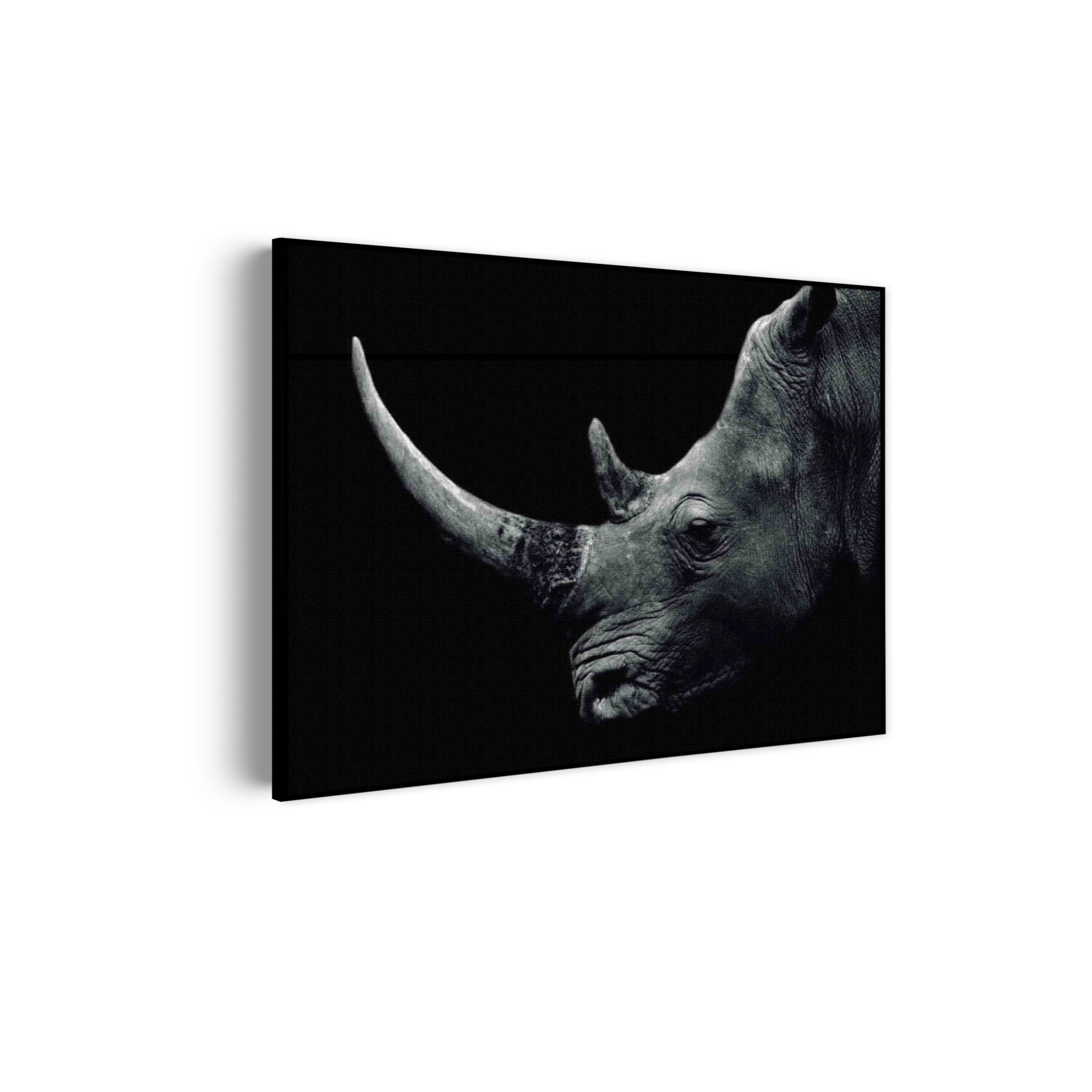 Akoestisch Schilderij Neushoorn Zwart Wit Rechthoek Horizontaal Template 50 70 horizontaal dieren 1 scaled 1