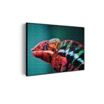 Akoestisch Schilderij Kameleon Kleurrijk Rechthoek Horizontaal Template 50 70 horizontaal dieren 10 scaled 1