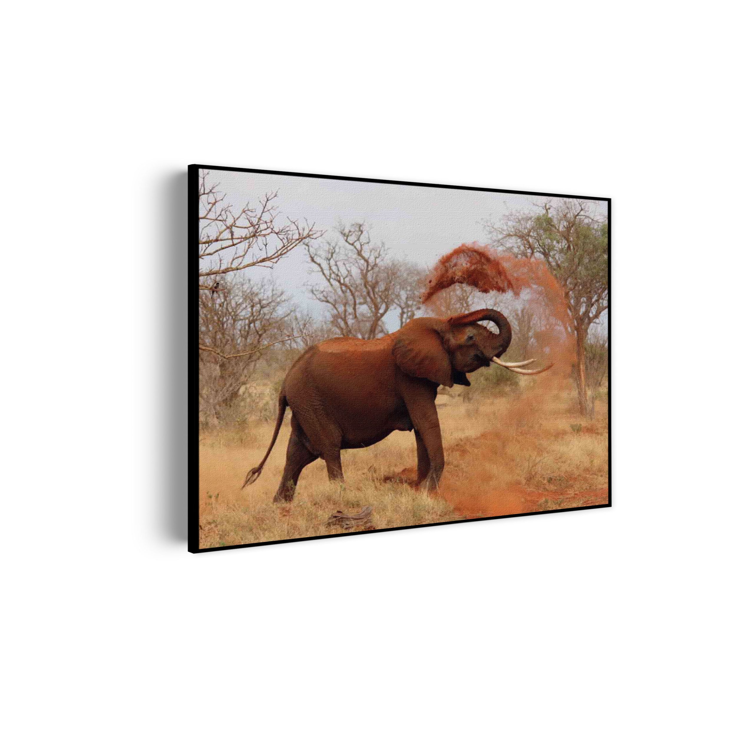 Akoestisch Schilderij Wilde Olifant Rechthoek Horizontaal Template 50 70 horizontaal dieren 17 scaled 1