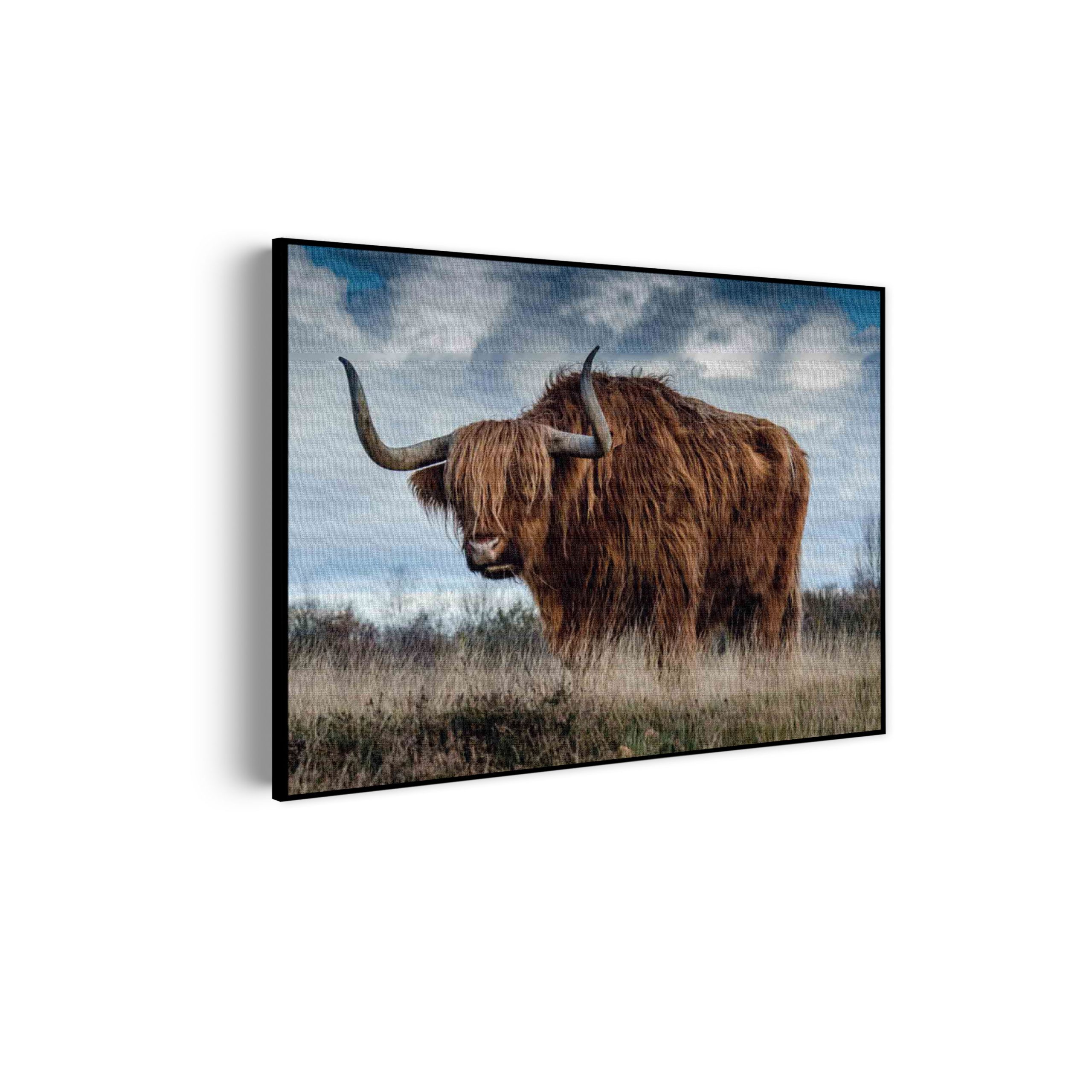 Akoestisch Schilderij Neushoorn Zwart Wit Rechthoek Horizontaal Template 50 70 horizontaal dieren 18 scaled 1