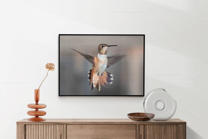 Akoestisch Schilderij De Vliegende Kolibrie Vogel Rechthoek Horizontaal Template 50 70 horizontaal dieren 19 2 scaled 1