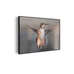 Akoestisch Schilderij De Vliegende Kolibrie Vogel Rechthoek Horizontaal Template 50 70 horizontaal dieren 19 scaled 1