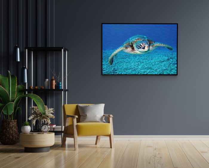 Akoestisch Schilderij Zeeschildpad In Helderblauw Water 01 Rechthoek Horizontaal Template 50 70 horizontaal dieren 21 1 scaled 1
