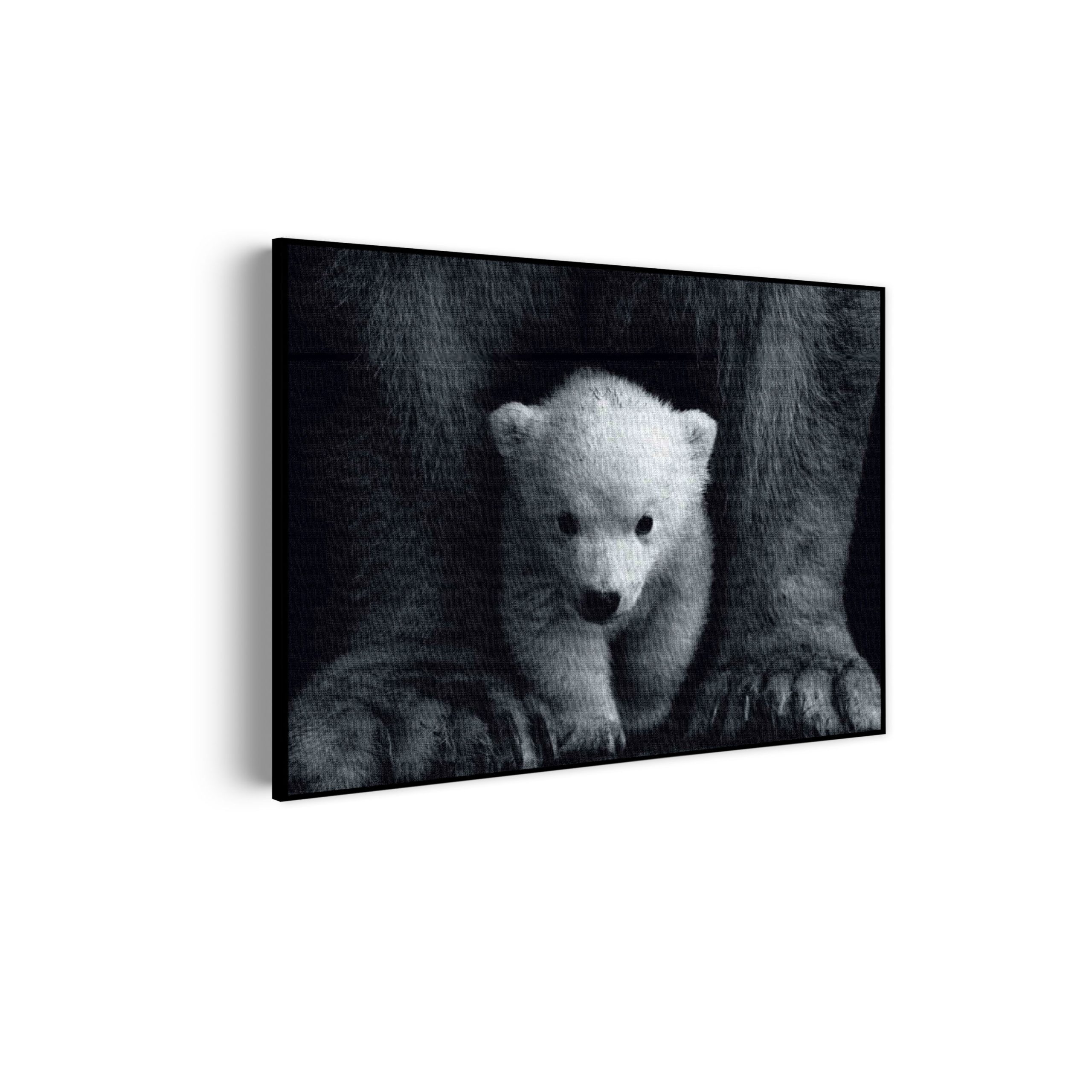 Template_50-70_horizontaal_dieren_22-scaled Akoestisch Schilderij Het Beschermde Welpje Rechthoek Horizontaal Template 50 70 horizontaal dieren 22 scaled 1