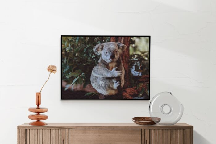 Akoestisch Schilderij De Vastgelamde Koala Rechthoek Horizontaal Template 50 70 horizontaal dieren 23 2 scaled 1