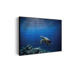Akoestisch Schilderij Zeeschildpad In Helderblauw Water 03 Rechthoek Horizontaal Template 50 70 horizontaal dieren 30 scaled 1