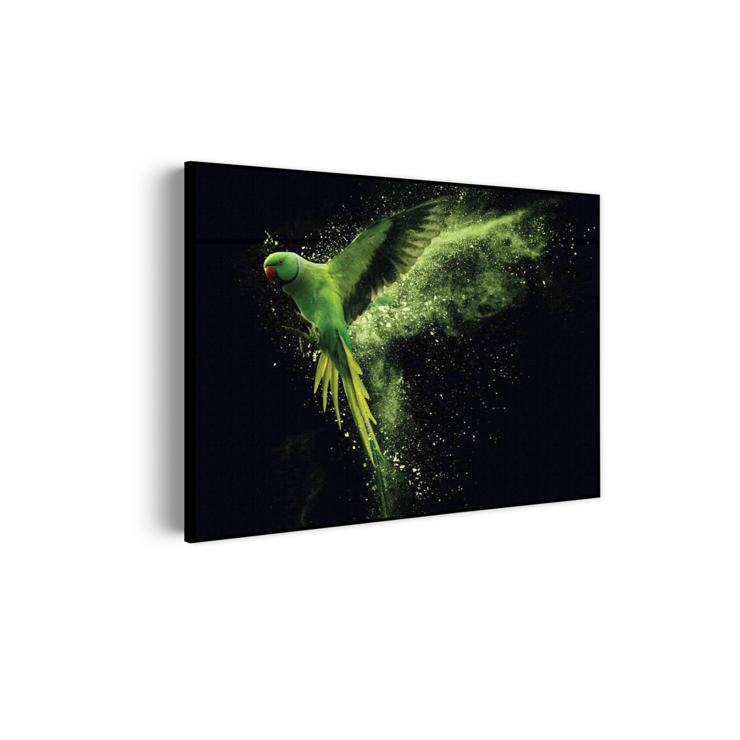 Template_50-70_horizontaal_dieren_38-scaled Akoestisch Schilderij De Groene Parkiet Rechthoek Horizontaal Template 50 70 horizontaal dieren 38 scaled 1