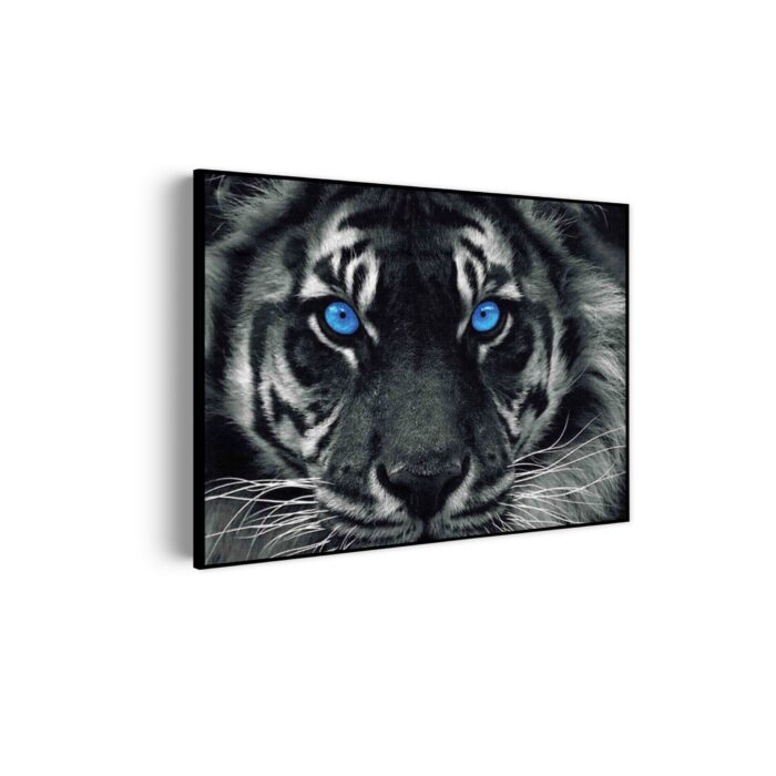 Akoestisch Schilderij Lion With Blue Eyes Rechthoek Horizontaal Template 50 70 horizontaal dieren 42 scaled 1