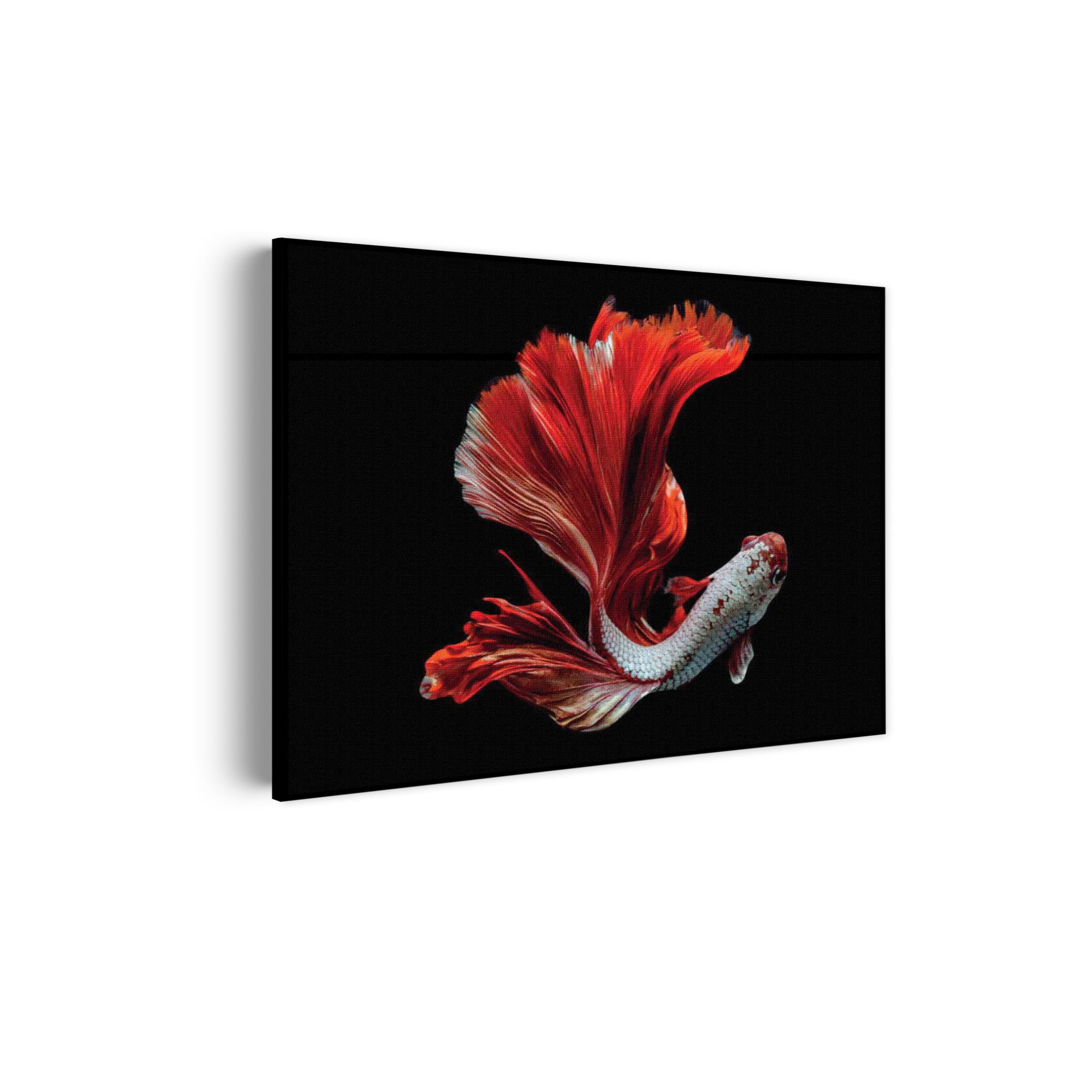 Akoestisch Schilderij The Betta Fish Rechthoek Horizontaal Template 50 70 horizontaal dieren 43 scaled 1