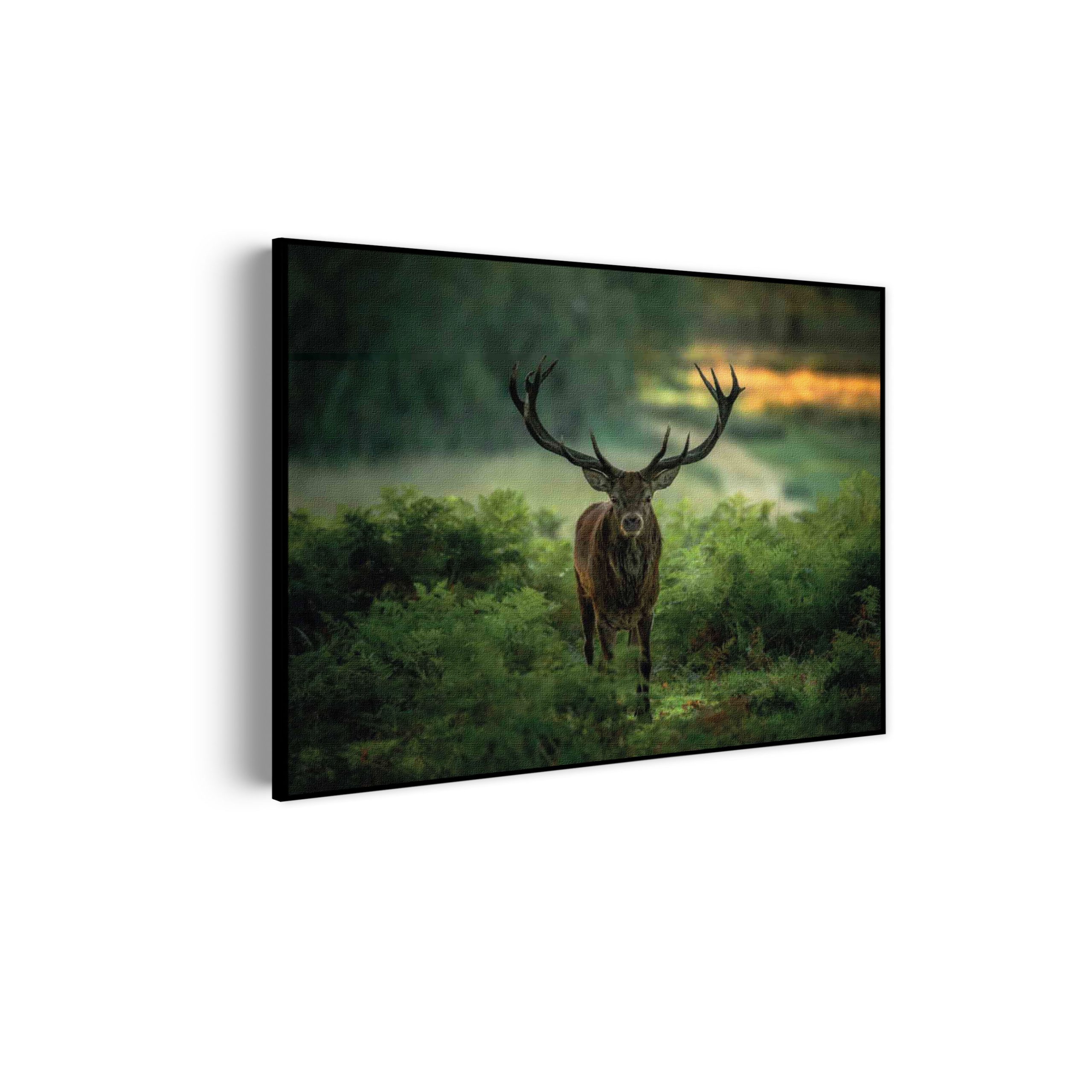 Akoestisch Schilderij Edelhert In Het Bos Rechthoek Horizontaal Template 50 70 horizontaal dieren 45 scaled 1