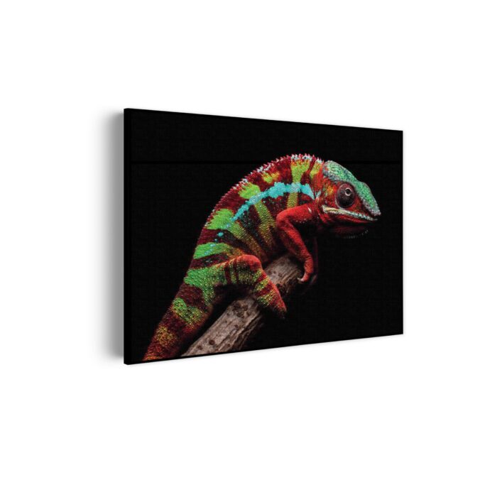 Akoestisch Schilderij De Kameleon Rechthoek Horizontaal Template 50 70 horizontaal dieren 46 scaled 1
