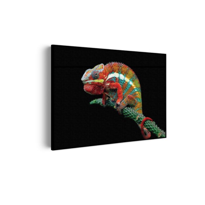 Akoestisch Schilderij De Kameleon Zittend Op Plant Rechthoek Horizontaal Template 50 70 horizontaal dieren 50 scaled 1